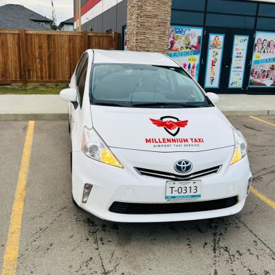Pet Taxi Service in Sherwood Park